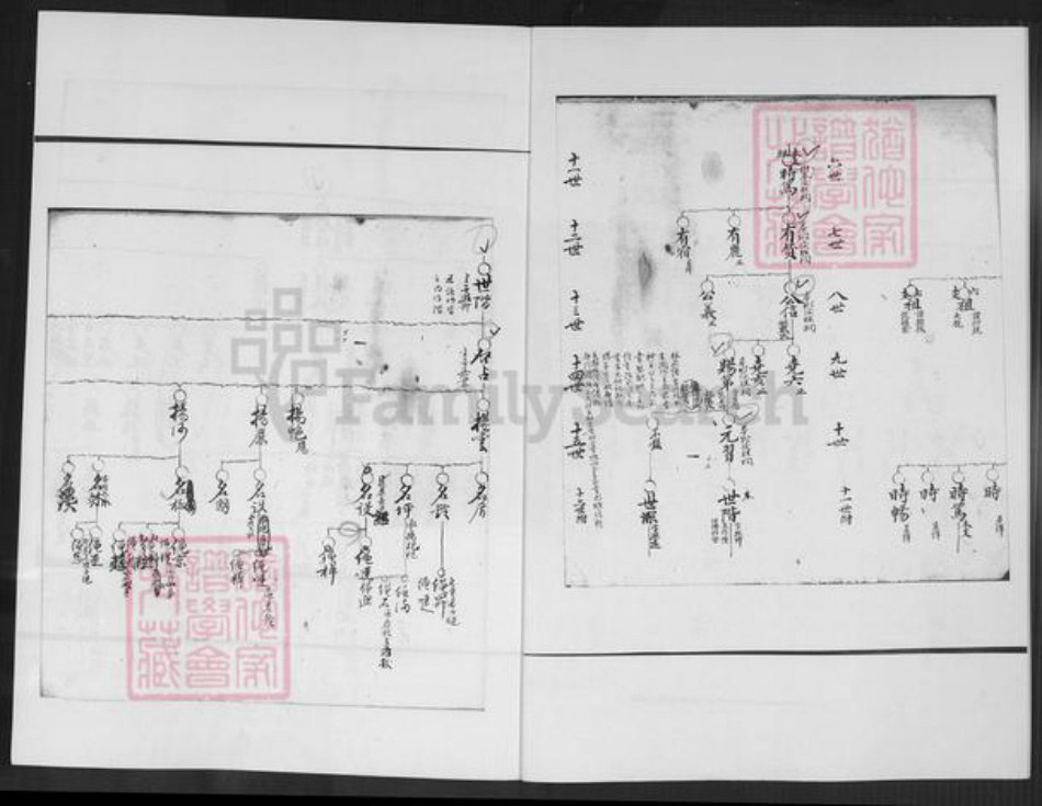 福建省泉州市石狮市永宁镇高氏族谱-武和高氏长房五支时笃派.pdf电子版插图2 福建省泉州市石狮市永宁镇高氏族谱-武和高氏长房五支时笃派.pdf电子版插图2