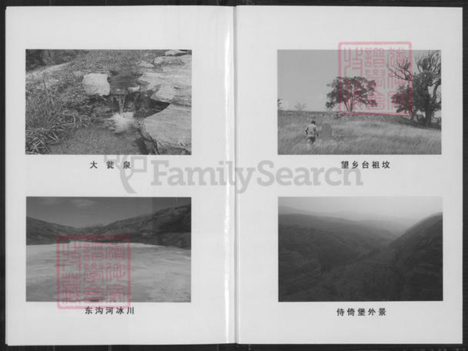 山西省忻州市繁峙县高氏族谱-高氏家谱.pdf电子版预览图2