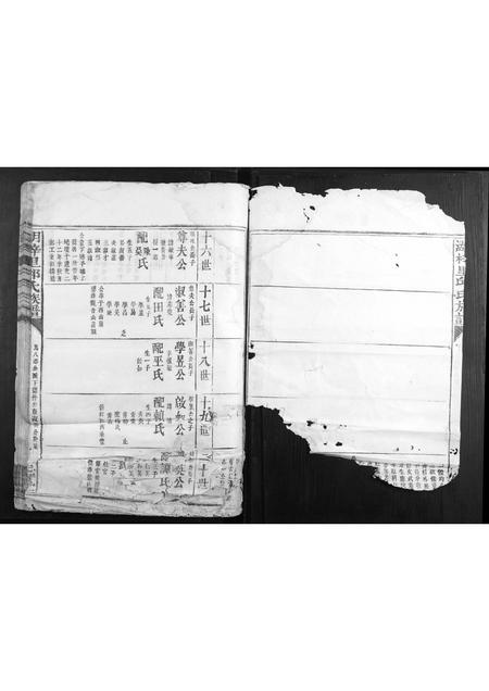 福建邱氏族谱-湖梓里邱氏族谱.pdf电子版插图2