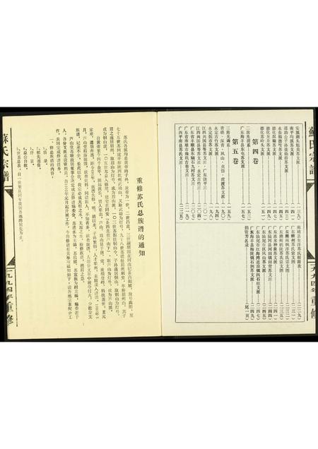 福建苏氏族谱-庐山苏氏大宗总族谱.pdf电子版插图2