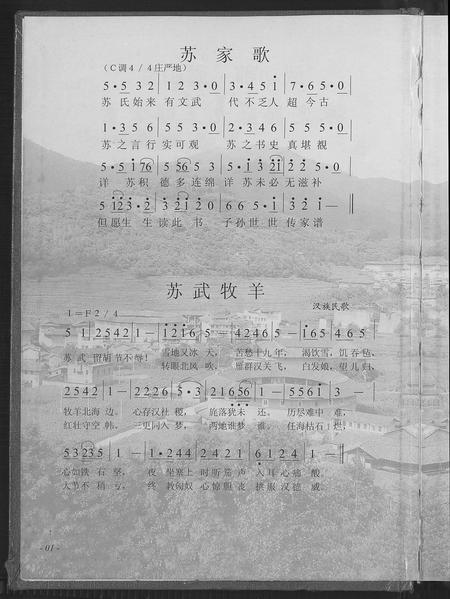 福建苏氏族谱-武功郡芦山堂永定县苏九三郎公系大宗族谱.pdf电子版插图2