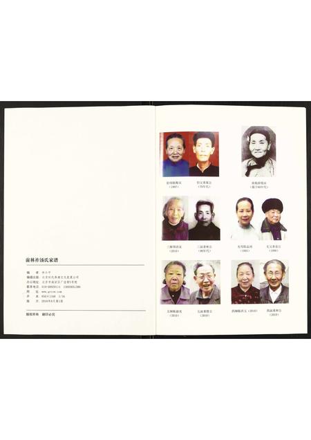 福建汤氏族谱-前林祚汤氏家谱.pdf电子版插图2