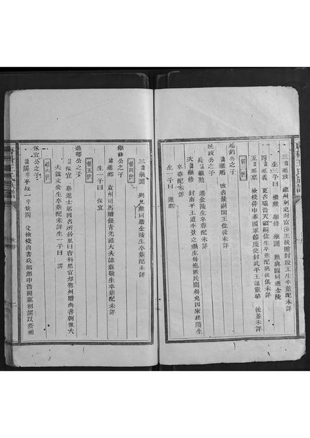 福建王氏族谱-唐科王氏族谱.pdf电子版插图2 福建王氏族谱-唐科王氏族谱.pdf电子版插图2