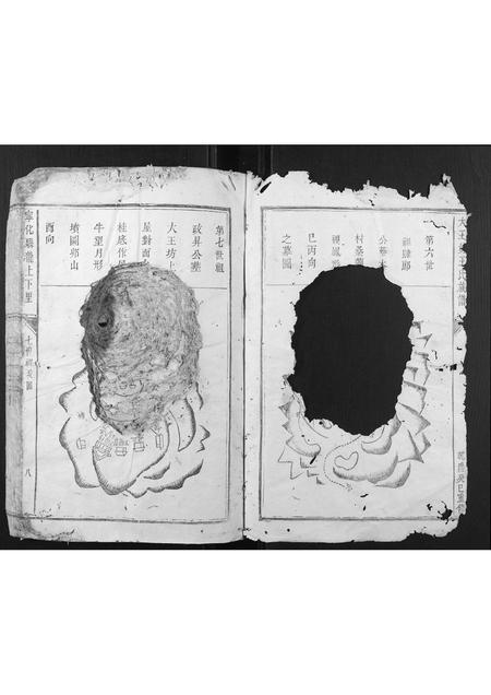 福建王氏族谱-大王坊王氏族谱.pdf电子版插图2 福建王氏族谱-大王坊王氏族谱.pdf电子版插图2