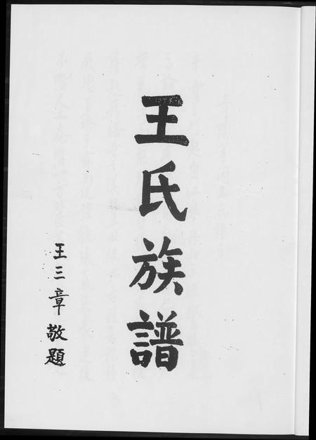 福建王氏族谱-温陵晋邑开闽王氏族谱.pdf电子版插图2