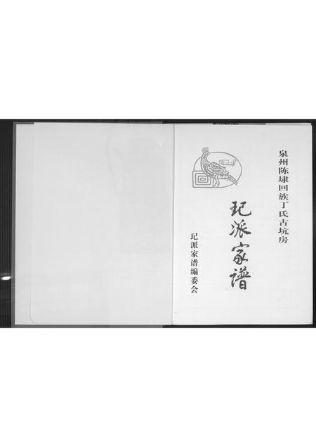 福建丁氏族谱-[丁氏](王己)派家谱.pdf电子版插图2