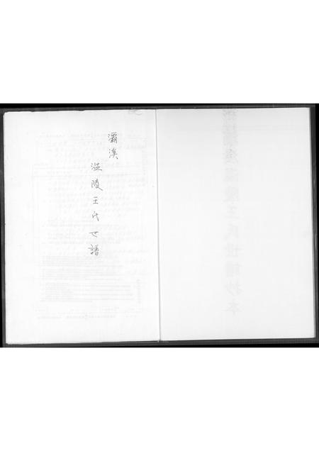 福建王氏族谱-灞西温陵王氏世谱抄本.pdf电子版插图2