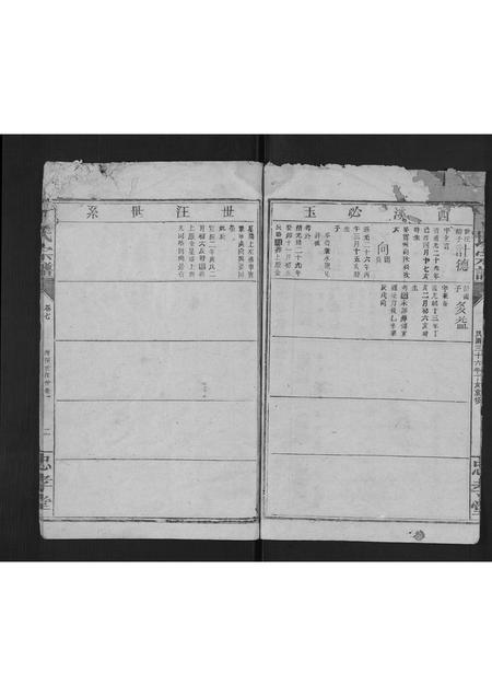 福建丁氏族谱-丁氏宗谱.pdf电子版插图2