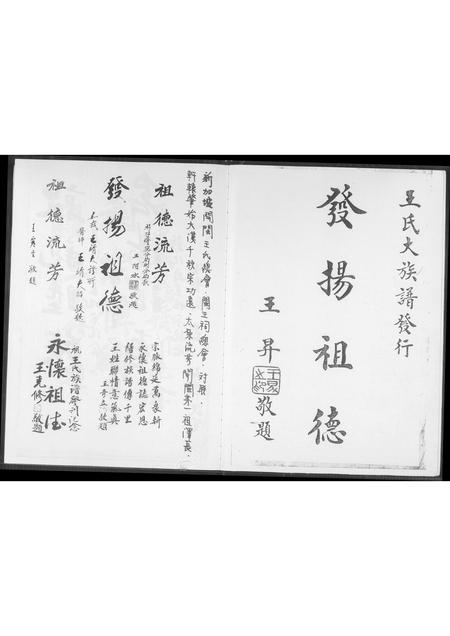 福建王氏族谱-王家族谱.pdf电子版插图2