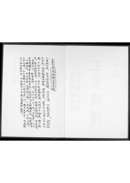 福建王氏族谱-王家族谱.pdf电子版插图2