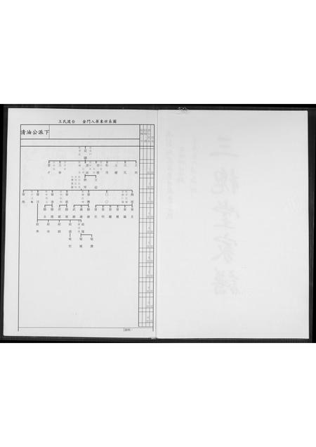 福建王氏族谱-[王氏]三槐堂家谱.pdf电子版插图2