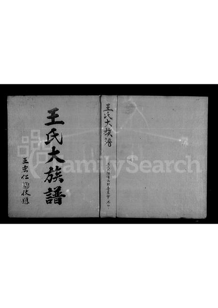 福建王氏族谱-王氏大族谱.pdf电子版插图2
