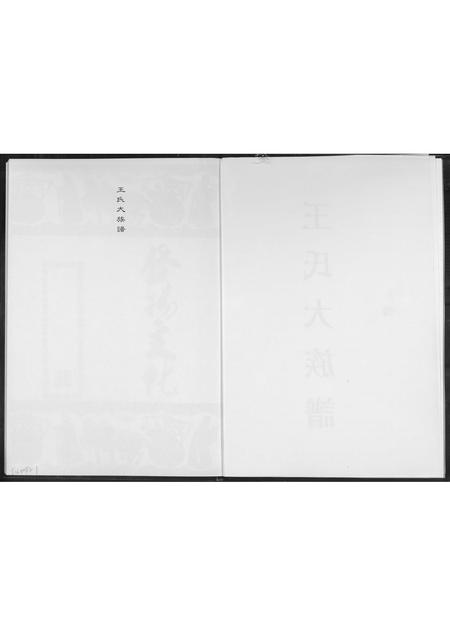福建王氏族谱-王氏大族谱.pdf电子版插图2