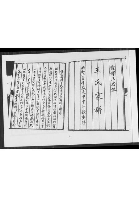 福建王氏族谱-王氏家谱霞泽三房派.pdf电子版插图2