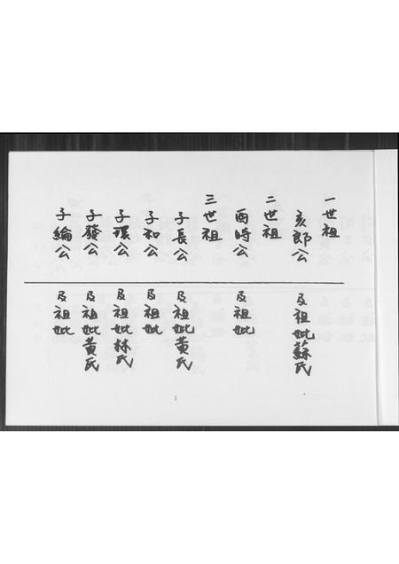 福建王氏族谱-王氏族谱.pdf电子版插图2