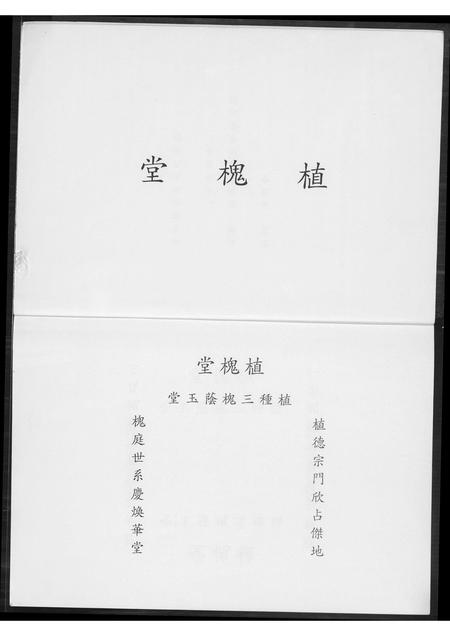 福建王氏族谱-王氏族谱.pdf电子版插图2