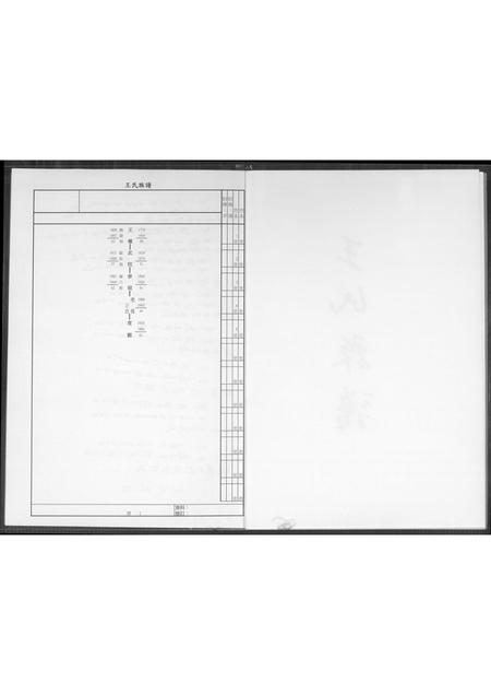 福建王氏族谱-王氏族谱. 王权公派下.pdf电子版插图2