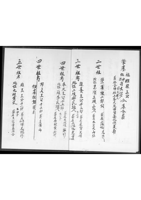 福建王氏族谱-种德堂 王圣本户永兴号族谱.pdf电子版插图3