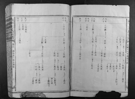 福建王氏族谱-赤下王氏宗谱.pdf电子版插图3