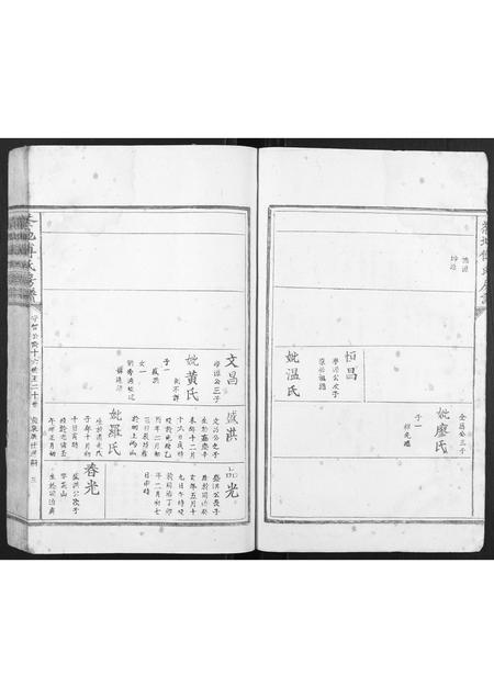 福建傅氏族谱-茶地傅氏房谱[4卷].pdf电子版插图3