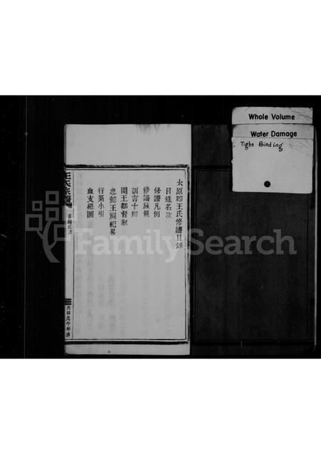 福建王氏族谱-王氏宗谱.pdf电子版插图3 福建王氏族谱-王氏宗谱.pdf电子版插图3