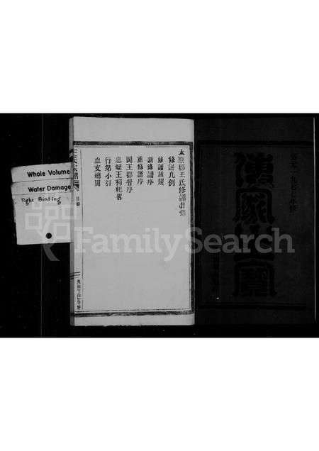 福建王氏族谱-王氏宗谱.pdf电子版插图3