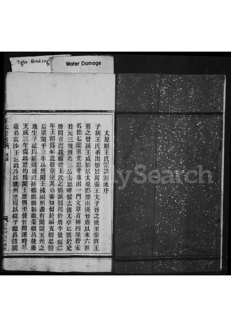 福建王氏族谱-王氏宗谱.pdf电子版插图3 福建王氏族谱-王氏宗谱.pdf电子版插图3