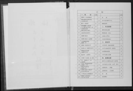 福建高氏族谱-大平高氏下派八房族谱.pdf电子版插图3