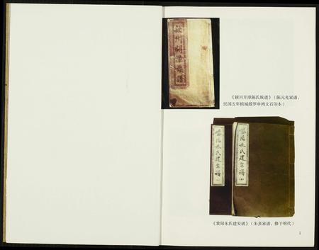 福建未知族谱-福建族谱.pdf电子版插图3 福建未知族谱-福建族谱.pdf电子版插图3