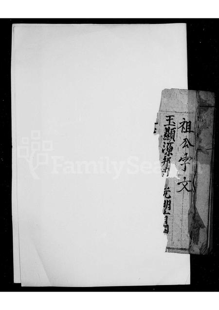 福建未知族谱-[石忠阳派下家谱].pdf电子版插图3