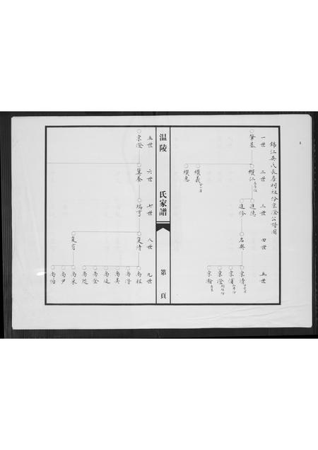 福建吴氏族谱-温陵吴氏家谱.pdf电子版插图3