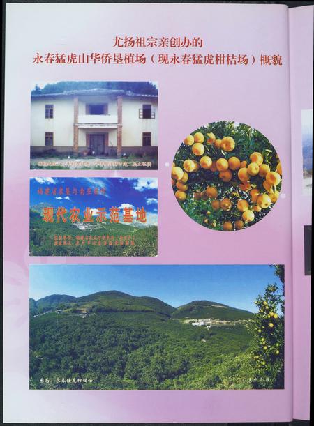 福建尤氏族谱-天下尤氏源流.pdf电子版插图3 福建尤氏族谱-天下尤氏源流.pdf电子版插图3