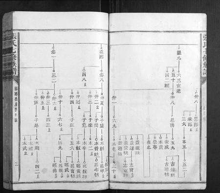 福建张氏族谱-张氏七修族谱.pdf电子版插图3