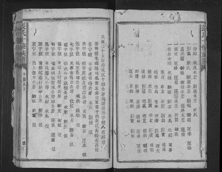 福建张氏族谱-张氏十修族谱 [不分卷].pdf电子版插图3