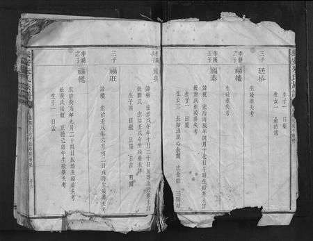 福建朱氏族谱-绥安朱氏族谱.pdf电子版插图3