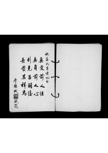 福建庄氏族谱-[庄氏]锦绣族谱.pdf电子版插图3