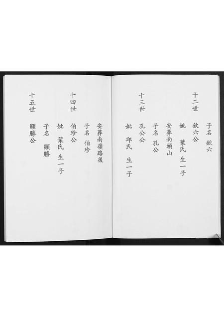 福建陈氏族谱-陈氏族谱.pdf电子版插图3