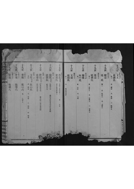 福建何氏族谱-中都何氏五修宗谱.pdf电子版插图3 福建何氏族谱-中都何氏五修宗谱.pdf电子版插图3