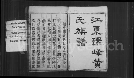 福建黄氏族谱-江夏环峰黄氏族谱.pdf电子版插图3