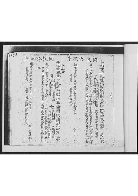 福建林氏族谱-南靖县正本复印林氏族谱 _ 顶次房弘仕公世系派 [不分卷].pdf电子版插图3