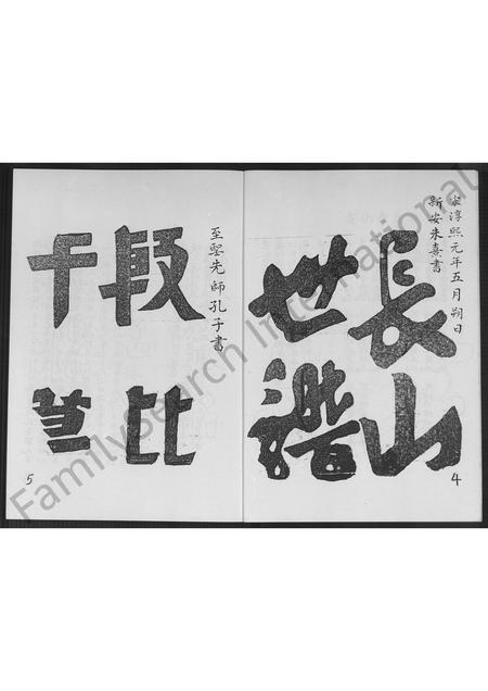 福建林氏族谱-福建省南靖县分支林氏族谱 [不分卷].pdf电子版插图3