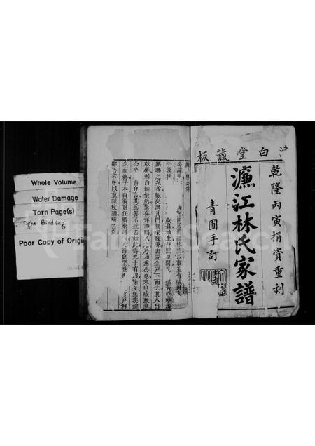 福建林氏族谱-濂江林氏家谱.pdf电子版插图3