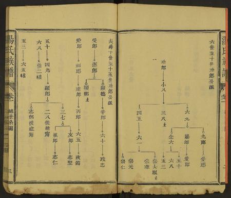 福建汤氏族谱-汤氏族谱 [8卷首1卷].pdf电子版插图3