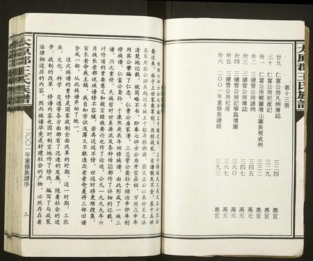 福建王氏族谱-太原郡王氏族谱[13册].pdf电子版插图3