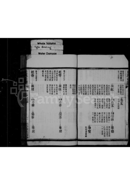 福建王氏族谱-王氏宗谱 _ 福鼎店下乡玉岐.pdf电子版插图3