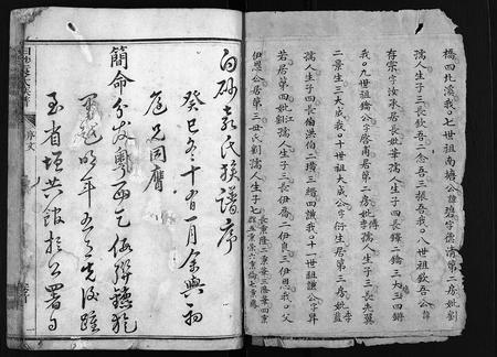 福建袁氏族谱-白砂袁氏族谱 [4卷,及卷首].pdf电子版插图3