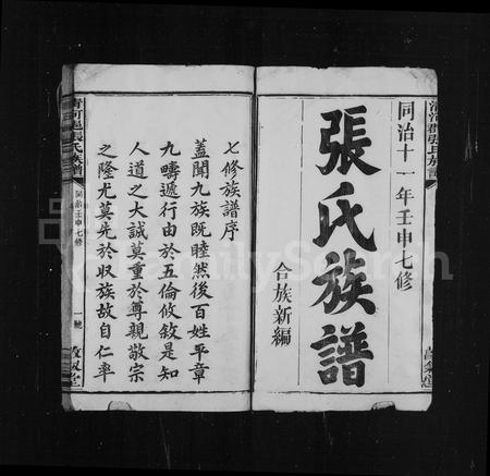福建张氏族谱-清河张氏族谱 [卷数不明].pdf电子版插图3