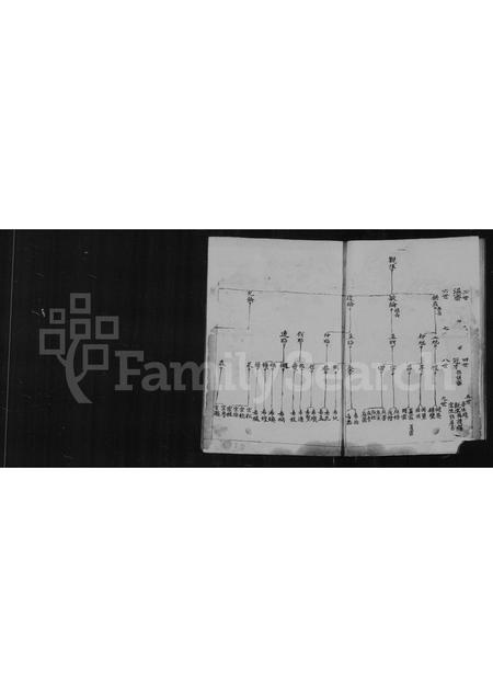 福建洪氏族谱-[洪氏族谱].pdf电子版插图3