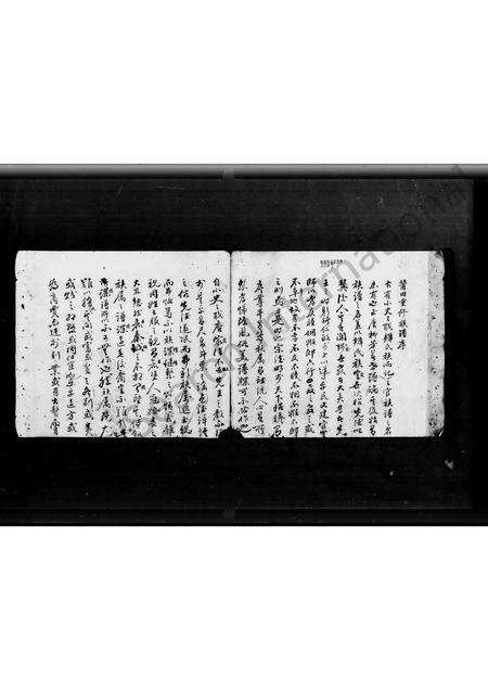 广东蔡氏族谱-岭南蔡氏族谱.pdf电子版插图3