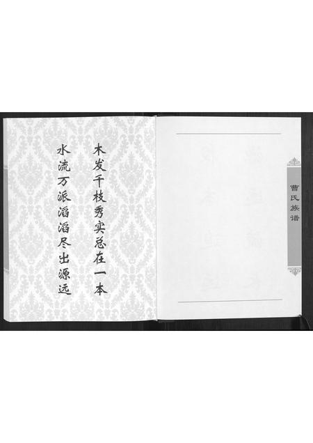河南曹氏族谱-曹氏族谱.pdf电子版插图3